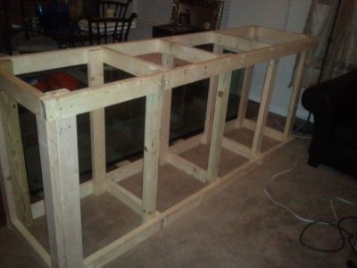 2012-09-01 01.58.37.jpg