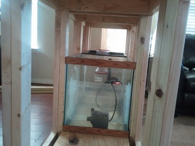 2012-09-10 18.29.00.jpg