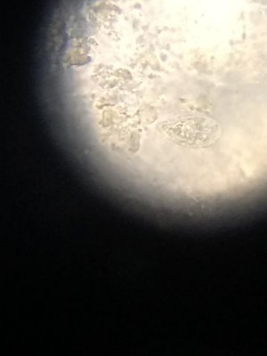 2015-11-28 18.46.21.jpg