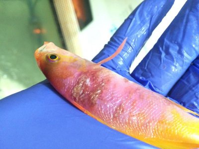 2015-11-28 19.36.18.jpg