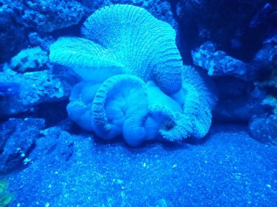 2015-12-23 22.41.08.jpg