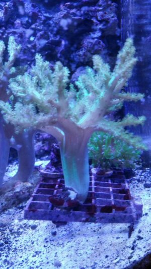 2015-12-25 02.01.05.jpg