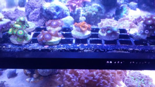20151130_161327.jpg