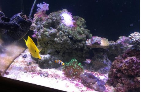 Screen Shot 2015-11-30 at 10.37.52 PM.jpg