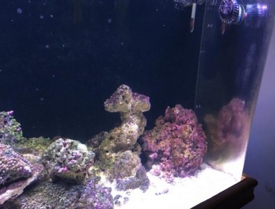 Screen Shot 2015-11-30 at 10.38.58 PM.jpg