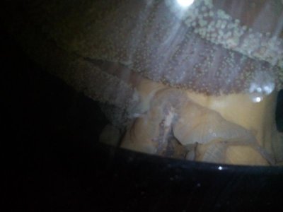 2015-12-25 23.07.32.jpg