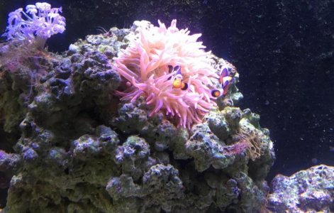 Screen Shot 2015-11-30 at 10.39.59 PM.jpg