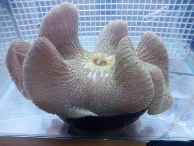 2015-12-26 13.10.52.jpg