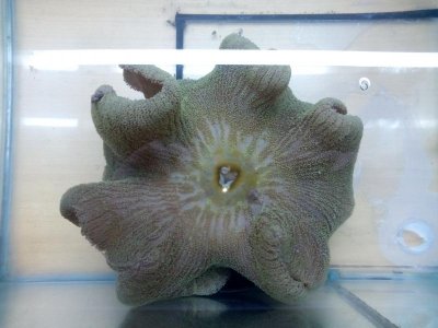 2015-12-26 13.10.59.jpg