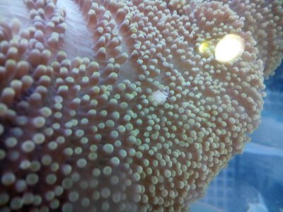 2015-12-26 13.52.03.jpg