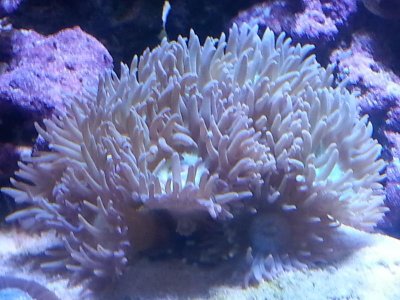 20151201_085600[1].jpg