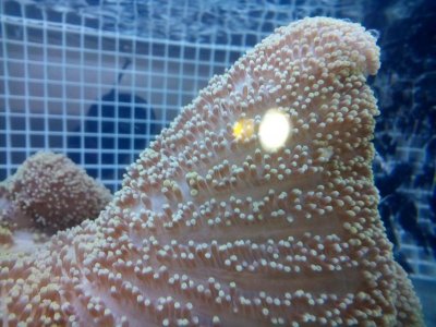 2015-12-27 14.15.06.jpg