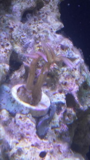 20150718_102033 (Small).jpg