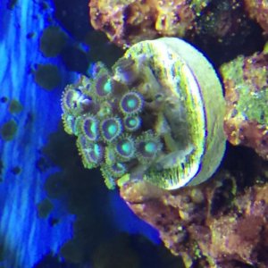 IMG_1480.jpg