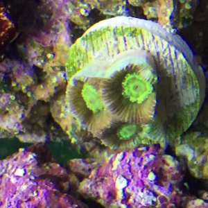 IMG_1481.jpg