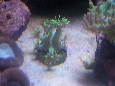 20151229_124642[1].jpg