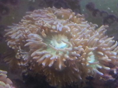 20151229_113717[1].jpg