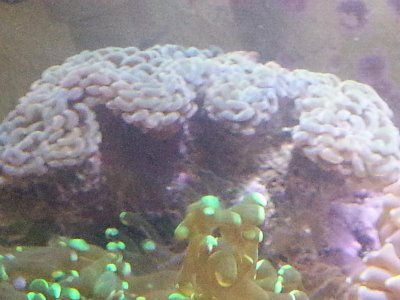 20151229_113711[1].jpg