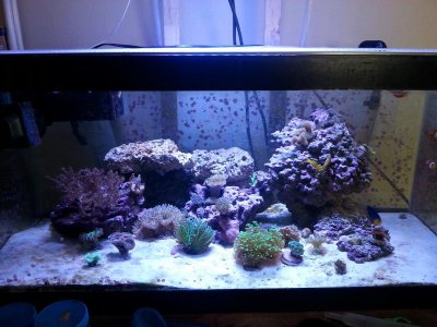 FTS 12-4-2015.jpg
