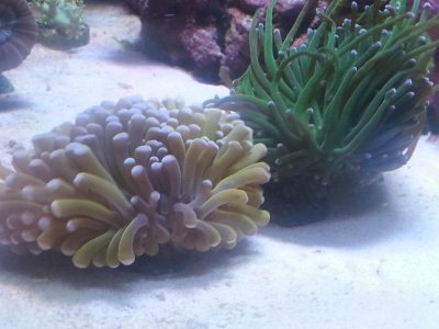 20151229_113659[1].jpg