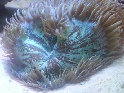 20151229_113652[1].jpg