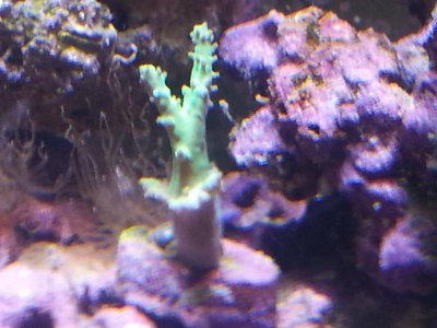 20151229_083900[1].jpg