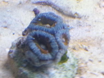 20151229_083853[1].jpg
