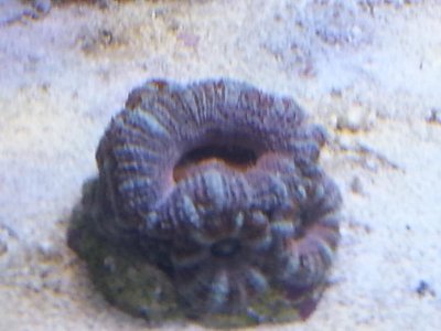 20151229_083850[1].jpg