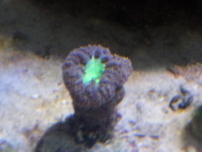20151229_083843[1].jpg