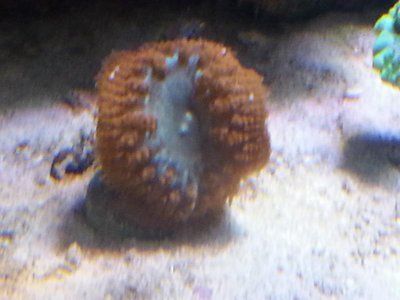 20151229_083839[1].jpg