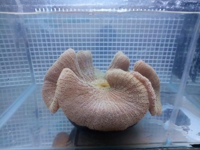 2015-12-29 09.47.27.jpg