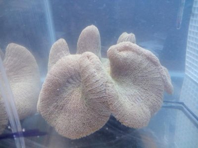 2015-12-29 09.47.43.jpg