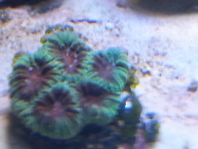 20151229_083833[1].jpg