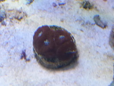 20151229_083805[1].jpg