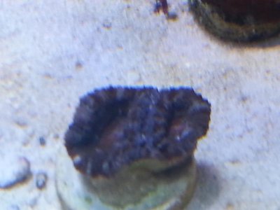 20151229_083802[1].jpg