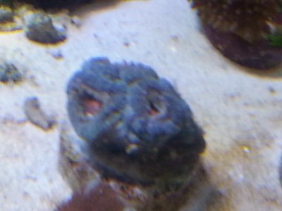 20151229_083756[1].jpg