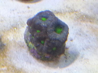 20151229_083753[1].jpg