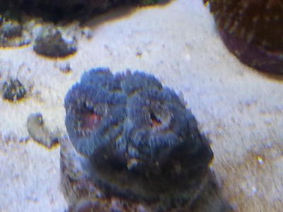 20151229_083711[1].jpg