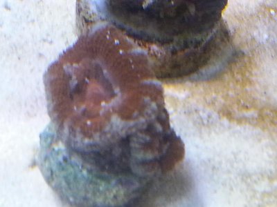 20151229_083709[1].jpg