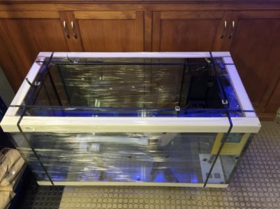 IMG_1056 (800x600).jpg