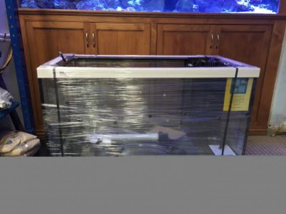 image1 (800x600).jpg