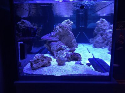 light-it-up-sideview-dec2015.jpg
