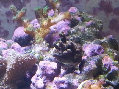 20151229_083702[1].jpg