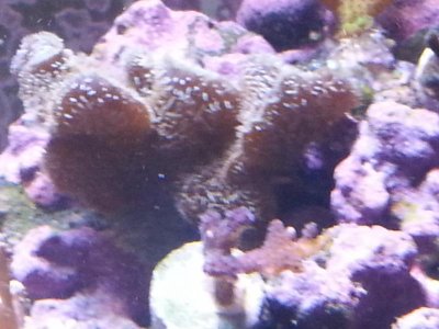 20151229_083658[1].jpg