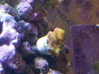 20151229_083652[1].jpg