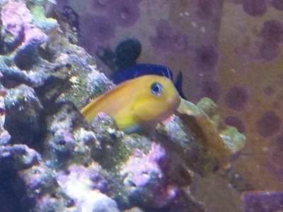 20151229_083650[1].jpg