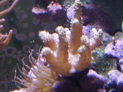 20151229_083647[1].jpg