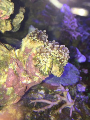 IMG_2788.jpg