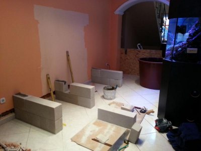 20150125_1121001.jpg