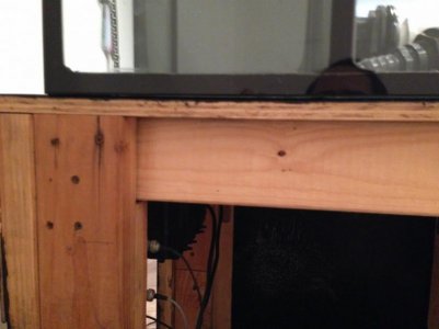 IMG_1064 (800x600).jpg